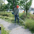 Sjekk prisen! Makita ER2600L 2-tanks høyeffeks gresstrimmer på 25.7cc thumbnail